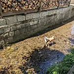 Urlaubsmagie - Ferienwohnung Talruhe - Garten Mit Terrasse & Saisonaler Pool Sebnitz