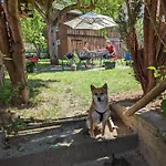 Urlaubsmagie - Ferienwohnung Talruhe - Garten Mit Terrasse & Saisonaler Pool Apartment *