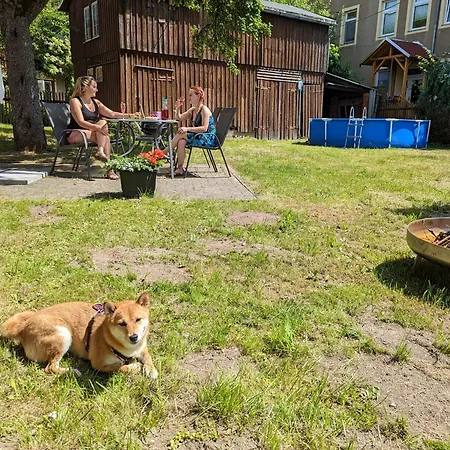 Urlaubsmagie - Talruhe - Garten Mit Terrasse & Saisonaler Pool 赛博尼茨