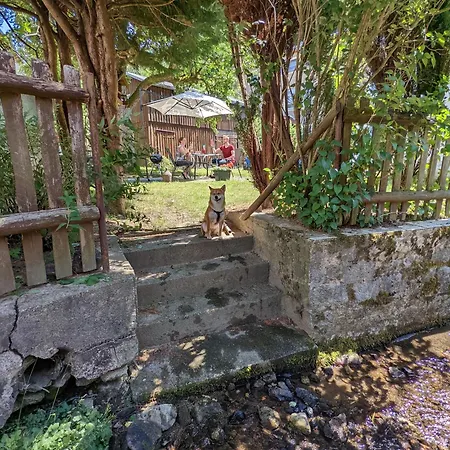 H5 - Urlaubsmagie - Wohlfuehloase Mit Pool Апартаменты