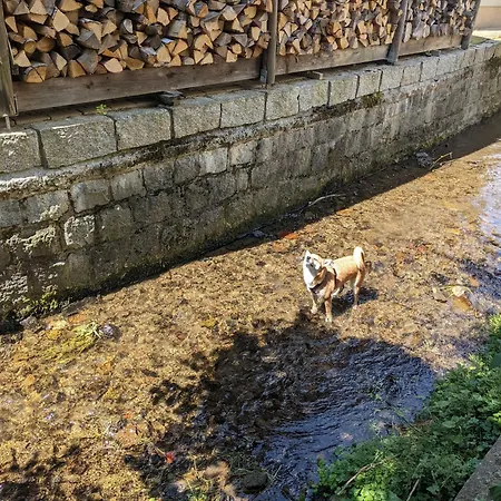 H5 - Urlaubsmagie - Wohlfuehloase Mit Pool Зебниц