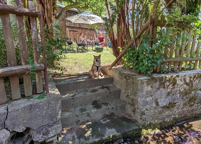 Urlaubsmagie - Ferienwohnung Talruhe - Garten Mit Terrasse & Saisonaler Pool Lägenhet