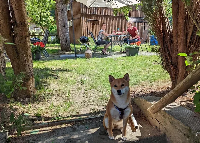 Urlaubsmagie - Ferienwohnung Talruhe - Garten Mit Terrasse & Saisonaler Pool Lägenhet *