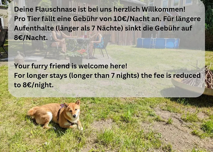 Lägenhet Urlaubsmagie - Ferienwohnung Talruhe - Garten Mit Terrasse & Saisonaler Pool *